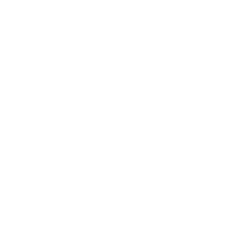 binary plan
