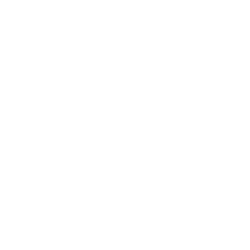 Level plan