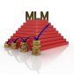 Direct Selling (MLM)